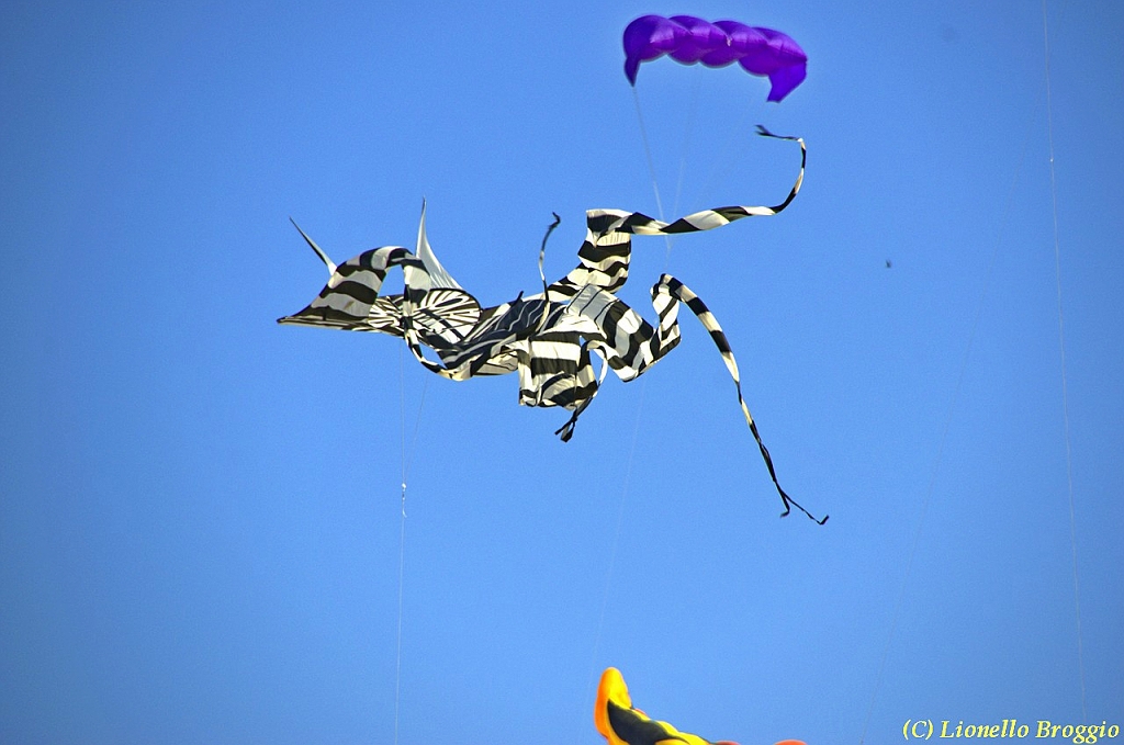 32 FESTIVAL CERVIA 2012 - 095.jpg